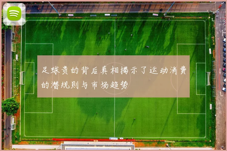 足球贵的背后真相揭示了运动消费的潜规则与市场趋势
