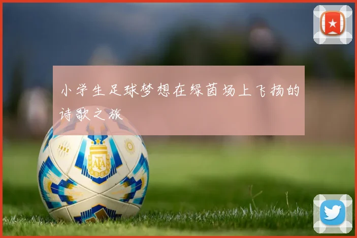 小学生足球梦想在绿茵场上飞扬的诗歌之旅