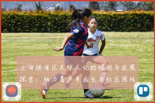 上海杨浦区足球文化的崛起与发展探索，助力青少年成长与社区团结