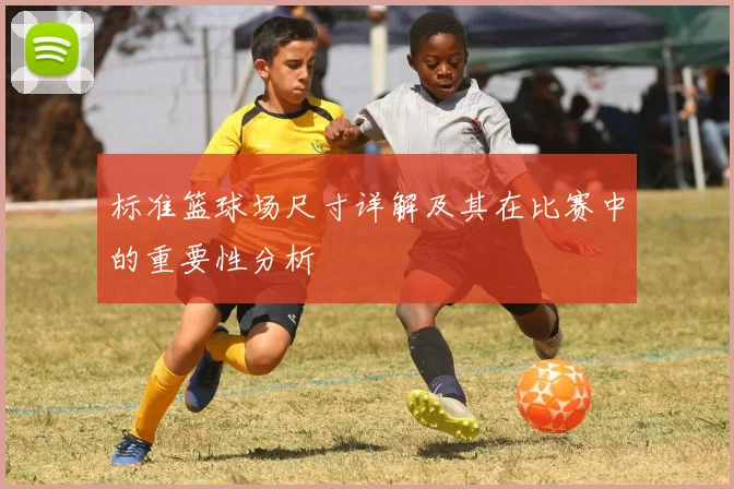 标准篮球场尺寸详解及其在比赛中的重要性分析