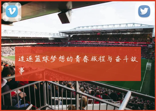 追逐篮球梦想的青春旅程与奋斗故事