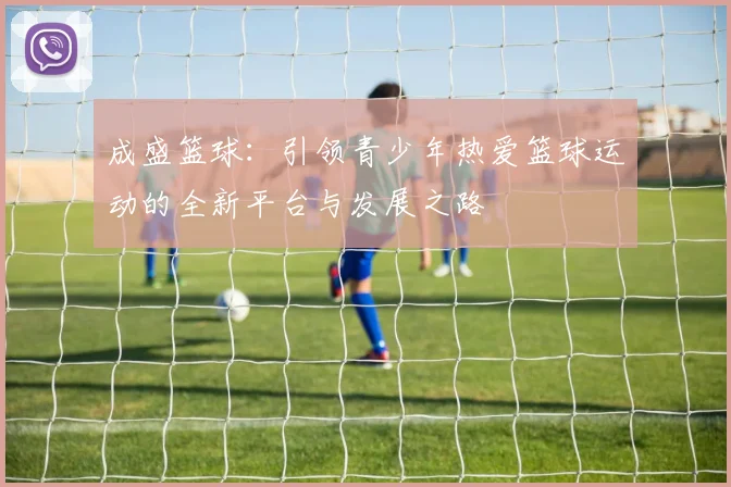 成盛篮球：引领青少年热爱篮球运动的全新平台与发展之路