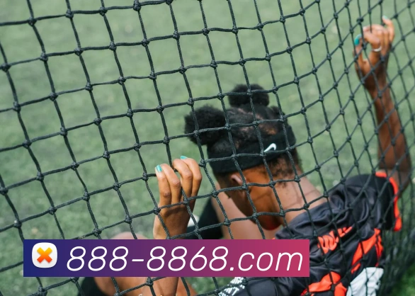 App Interface Preview